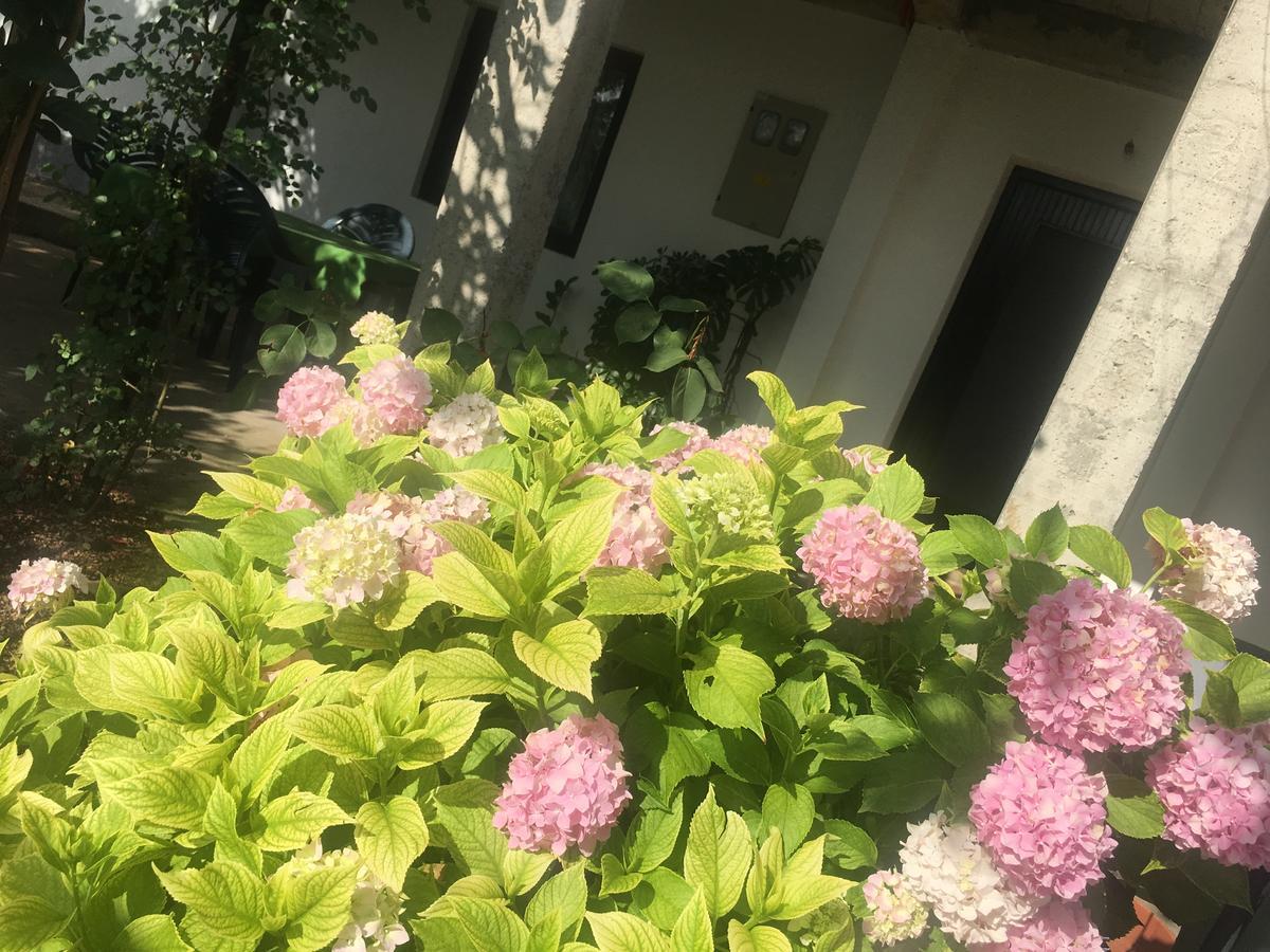 Guesthouse Star Mostar Esterno foto
